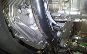 KAWASAKI Z900 2024 Z1F