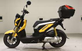 HONDA ZOOMER-X 2010
