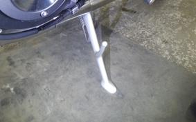 TRIUMPH SPEED TWIN 2020