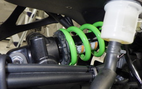 KAWASAKI ZX-4RR 2024 ZX400P