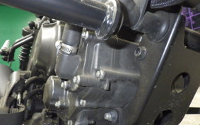 HONDA REBEL 250 A 2019 MC49