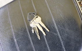 OTHER +UNREGISTERED MODEL by BDS125 TRIKE