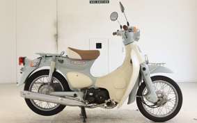 HONDA LITTLE CUB E AA01