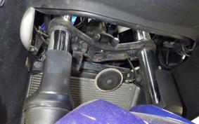 KAWASAKI NINJA 250 EX250L