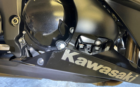 KAWASAKI NINJA 1000 ABS 2015 ZXT00L