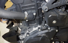 YAMAHA MT-25 2023 RG10J