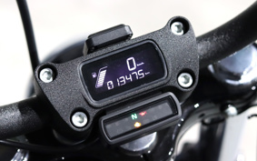 HARLEY FXBB 2018 YJJ