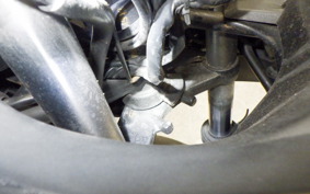 KAWASAKI NINJA 250 EX250L
