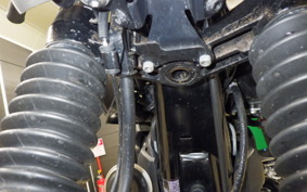 KAWASAKI W800 CAFE 2020 EJ800B