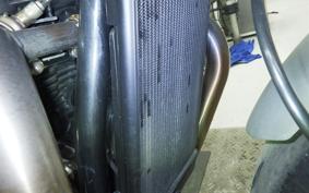 TRIUMPH SPEED TWIN 2024