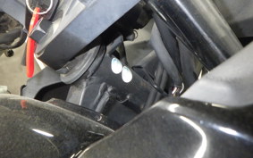 KAWASAKI NINJA 250R 2025 EX250K