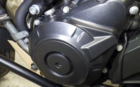 SUZUKI Vｽﾄﾛｰﾑ250