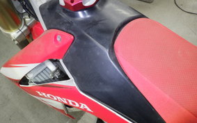 HONDA CRF250 RALLY 2019 ME10