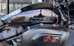 HARLEY FXDR114 2019 YVK