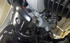 KAWASAKI W800 2024 EJ800E