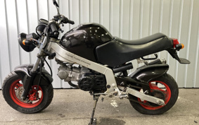 HONDA MONKEY R AB22