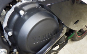 YAMAHA YZF-R15 2023