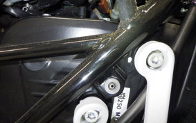 HUSQVARNA SVARTPILEN 250