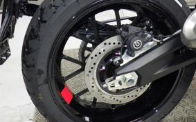 DUCATI SCRAMBLER ICON 2026