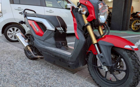 HONDA ZOOMER-X JF52