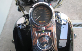 HARLEY FLSTC 2006 BJY