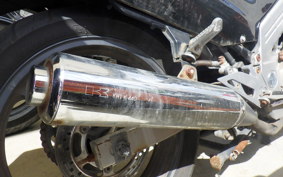 KAWASAKI ZZ-R250 EX250H