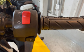 HONDA MANY CTOR AF79