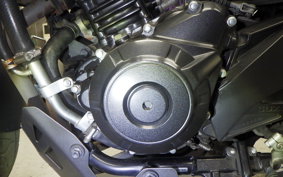 SUZUKI Vｽﾄﾛｰﾑ250A 2011