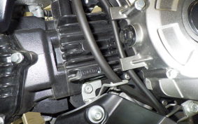 KAWASAKI Z125 PRO BR125H