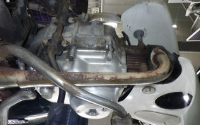 HONDA C50 SUPER CUB 2009 C50