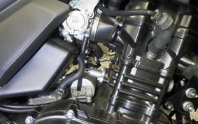 SUZUKI Vｽﾄﾛｰﾑ250A 2022