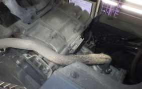 HONDA PCX125 2019 JK05