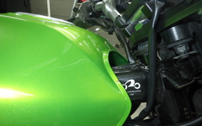 KAWASAKI ZRX1200 R 2007 ZRT20A