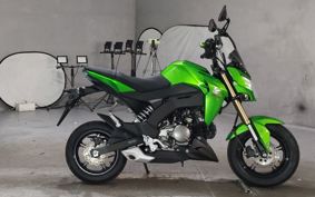 KAWASAKI Z125 PRO  BR125H