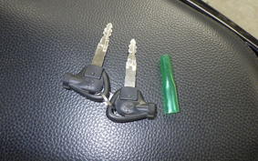 YAMAHA MAJESTY155 S SG28J