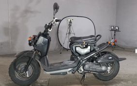 HONDA ZUMAR AF58