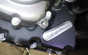 HARLEY RH975S 2025