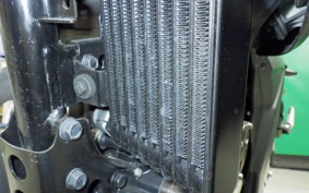 SUZUKI ｼﾞｸｻｰ250 2016 ED22B