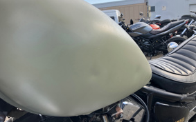 YAMAHA VIRAGO 250 3DM