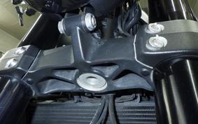 TRIUMPH TRIDENT 660 2021