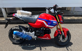 HONDA GROM JC92