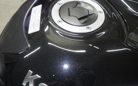 KAWASAKI ZX 1400 NINJA R 2012