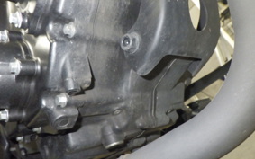 HONDA REBEL 250 2006 MC49