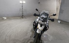 TRIUMPH TIGER 800 TRE15B