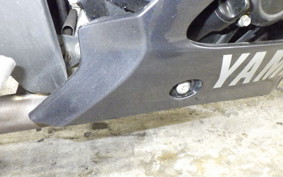 YAMAHA YZF-R15A 1998 RG86J