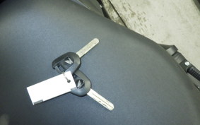 HONDA REBEL 1100 DCT 2022 SC83