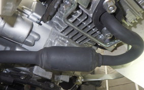 HONDA C110 SUPER CUB 2015 JA44