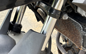 SUZUKI STROM 250 DS11A