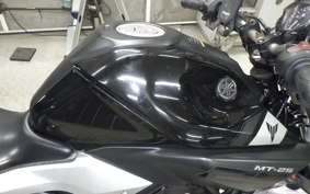 YAMAHA MT-25 2019 RG10J