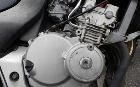 HONDA HORNET 250 MC31